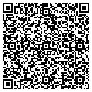QR code with Premier Telecom Inc contacts