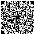 QR code with D Wf Inc contacts