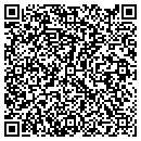 QR code with Cedar Valley Antiques contacts