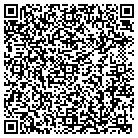 QR code with Babineaux Craig C CPA contacts