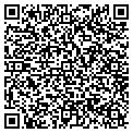 QR code with Vibsco contacts