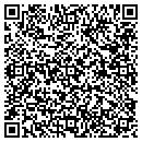 QR code with C F & I Construction contacts
