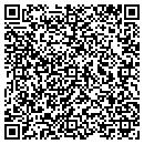 QR code with City Wide Connection contacts