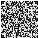 QR code with Cfe Land Development contacts