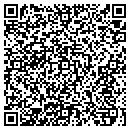 QR code with Carpet Solution contacts