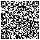 QR code with Cyber Flex Software Inc contacts