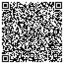 QR code with Cincotta Felix G CPA contacts