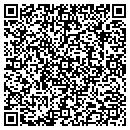 QR code with Pulse contacts