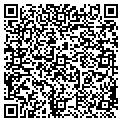 QR code with IBEW contacts