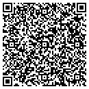 QR code with Badger Vms LLC contacts