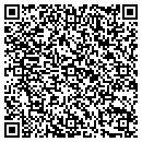 QR code with Blue Nile Auto contacts