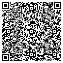 QR code with Pro Computer Service contacts