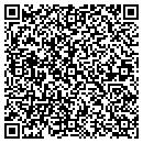 QR code with Precision Autodynamics contacts