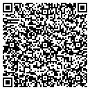 QR code with Precision Car Care contacts