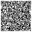 QR code with Premier Auto- Lehi contacts