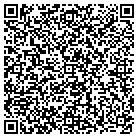 QR code with Professional Auto Detaili contacts