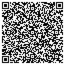 QR code with Ppl Software contacts