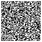 QR code with Public Access Project LLC contacts