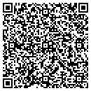 QR code with Professional Realty contacts