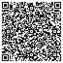 QR code with Pyramids Drywall contacts