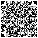 QR code with Ps Business Solutions contacts
