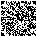 QR code with Pyramid Geotechnics contacts