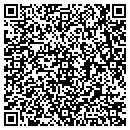 QR code with Cjs Lawn Landscape contacts