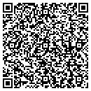 QR code with Pyramid Computer Inc contacts
