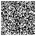 QR code with Spring contacts