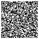 QR code with Premier Auto contacts