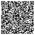 QR code with Allcel contacts