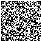 QR code with Blue Image Technologies contacts