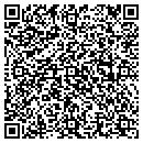 QR code with Bay Area Auto Works contacts