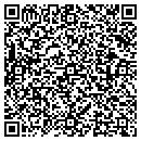 QR code with Cronin Construction contacts