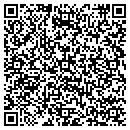 QR code with Tint Masters contacts