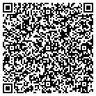 QR code with Blue Sky Window Tinting contacts