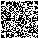QR code with Pyramid Distributing contacts