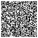 QR code with Pw Solutions contacts