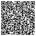 QR code with Wireless Toyz contacts