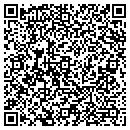 QR code with Programagic Inc contacts