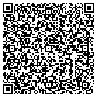 QR code with Blue Otter Software LLC contacts