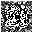 QR code with Canerossi Consulting contacts