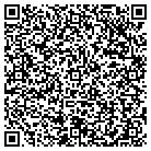 QR code with Premiere Data Systems contacts