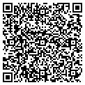 QR code with Island contacts