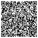 QR code with Cool Web Systems Inc contacts