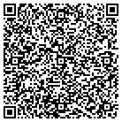 QR code with Babyhaven Com Inc contacts