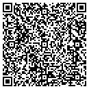 QR code with Cyberscapes Inc contacts