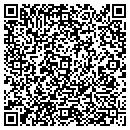 QR code with Premier Framing contacts