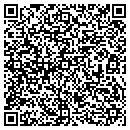 QR code with Protocol Infotech Inc contacts