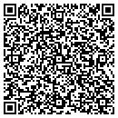 QR code with Pro View Remodeling contacts